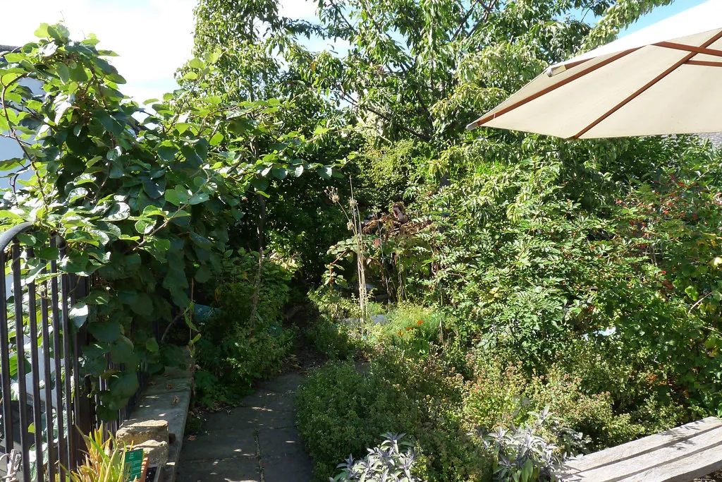 Terraza con plantas y sombrilla