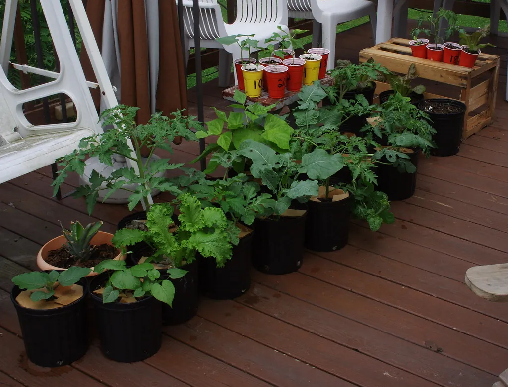 Terraza llena de plantas en macetas